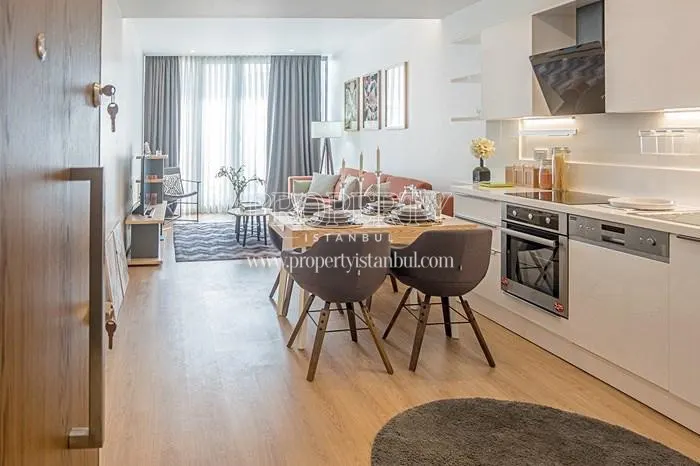Studio apartment in Propa Vista