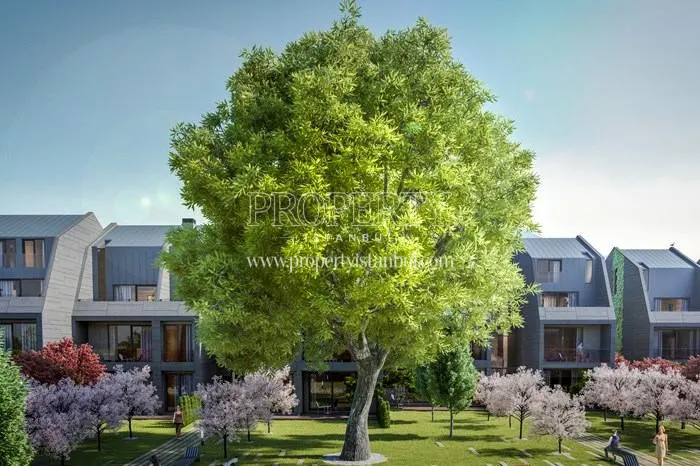 Big tree in front of the Tepe Aura villas