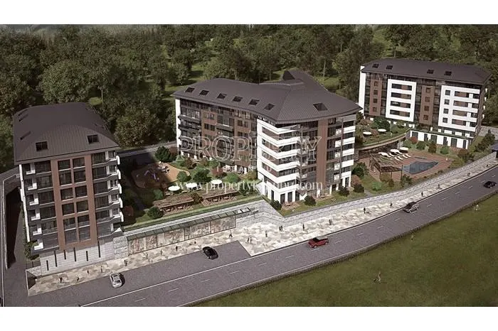 Terrace Koru project