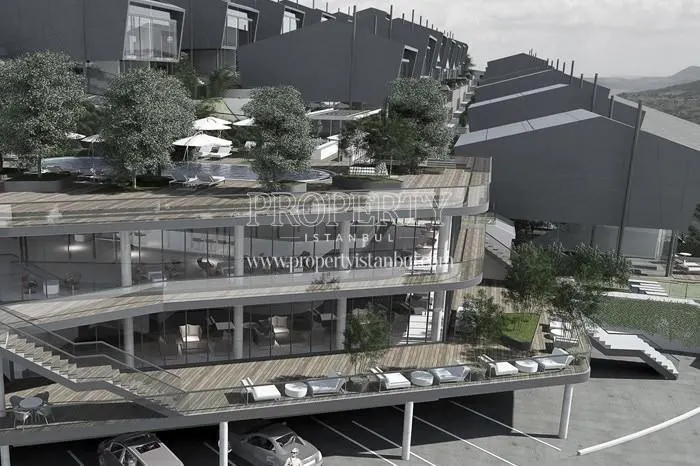 Terrace Plus project