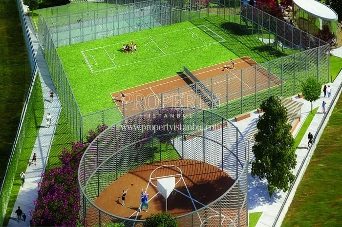 Sports fields in Terrace Tema