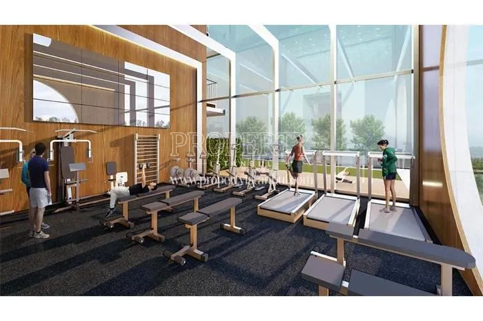 Gym in The Holl
