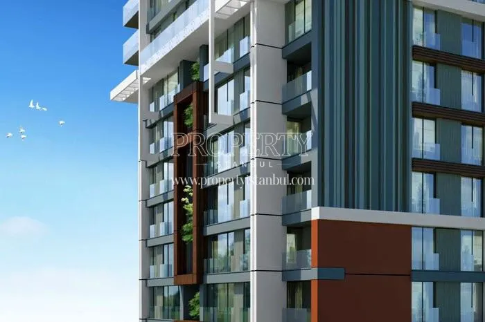 Versus Dragos homes