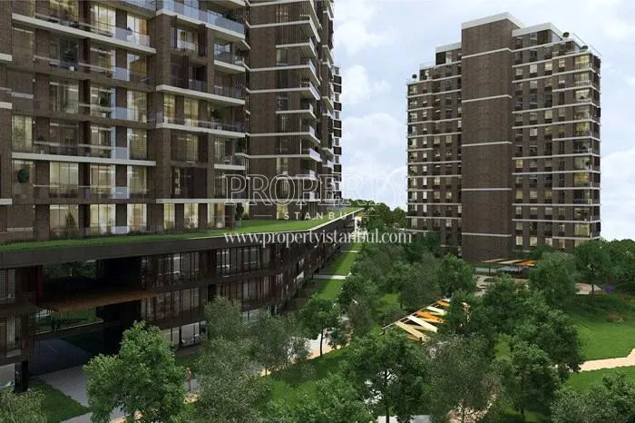 We Halic project