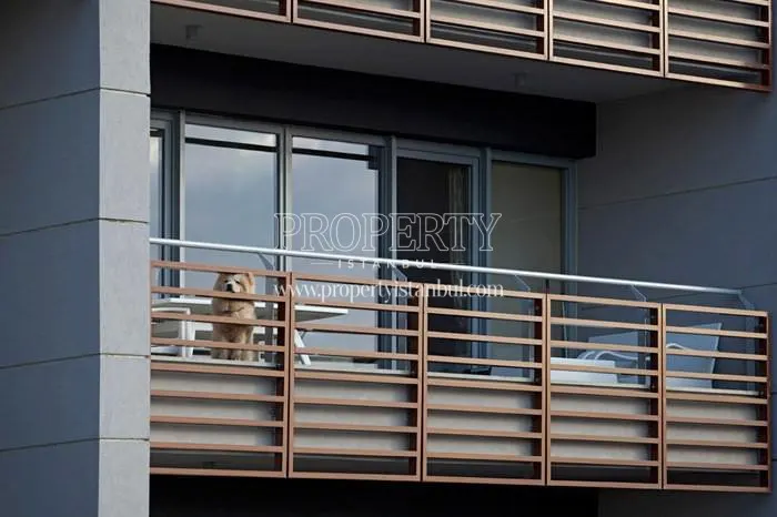 The cute dog on one of the balconies in West Blocks