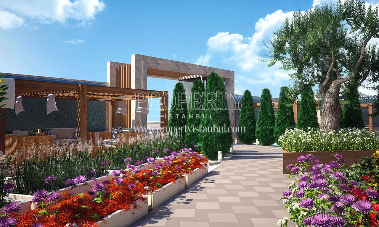 Alya Trio garden