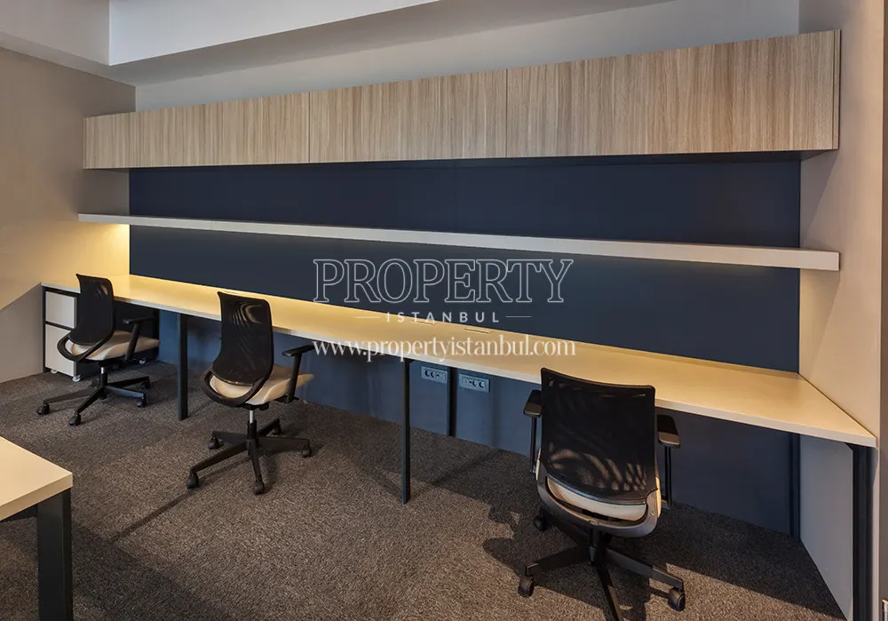 Antplato open office