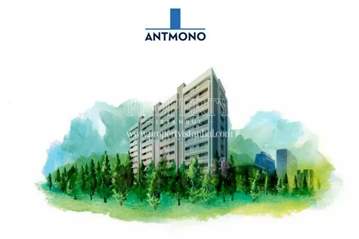 Antmono project