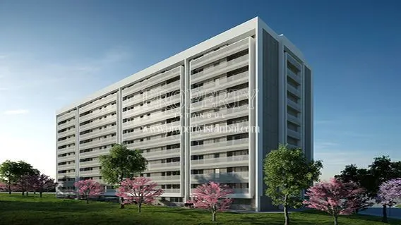 Antmono building