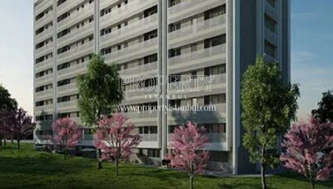 Antmono project