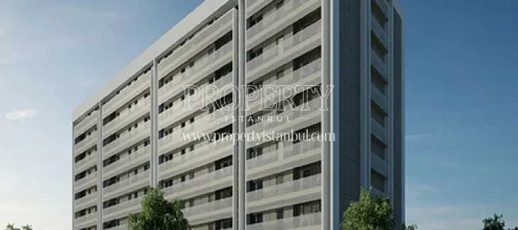 Antmono project