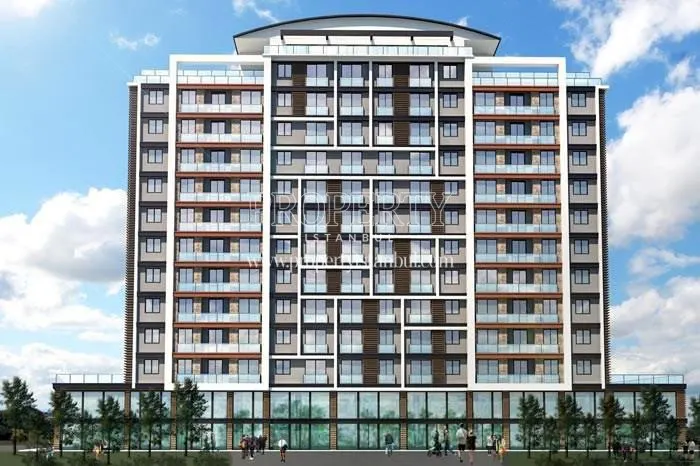 Ayisigi Butik homes