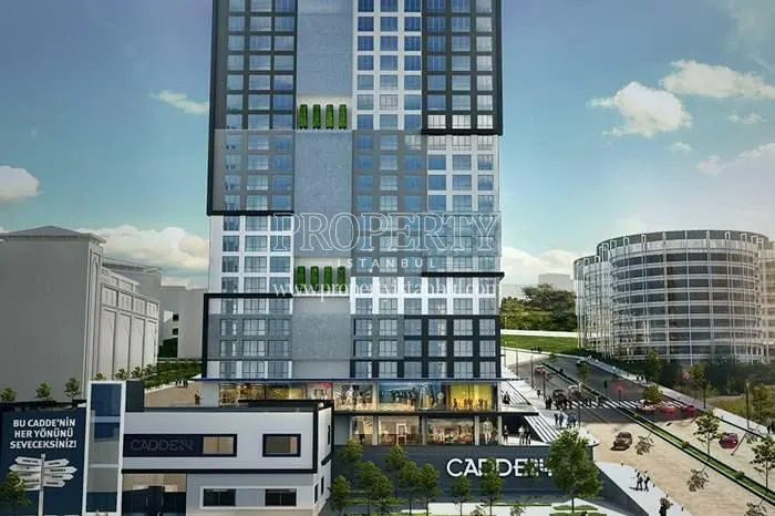 Cadde 24, project photo