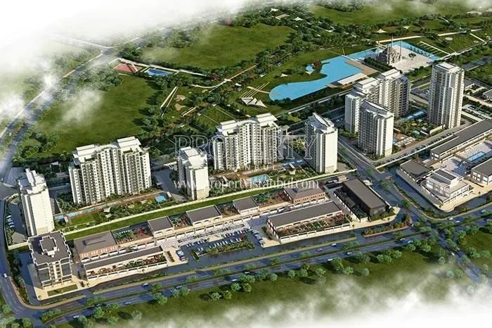 Cadde Flora project