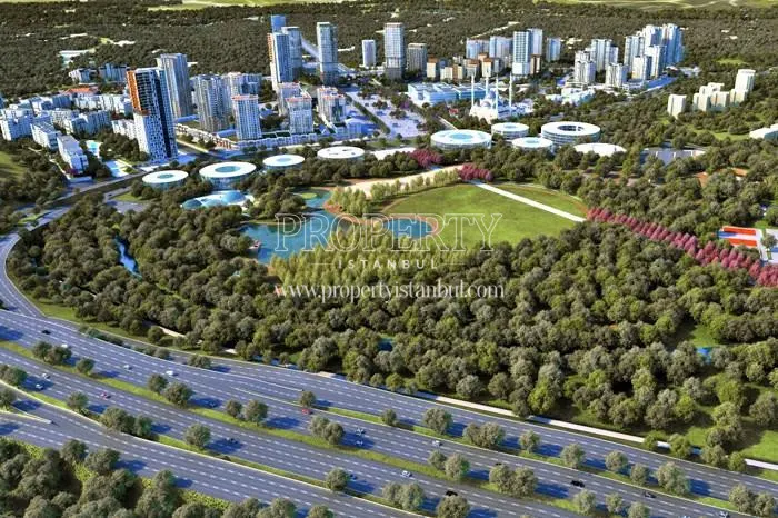 Kuzey Yakasi, project photo