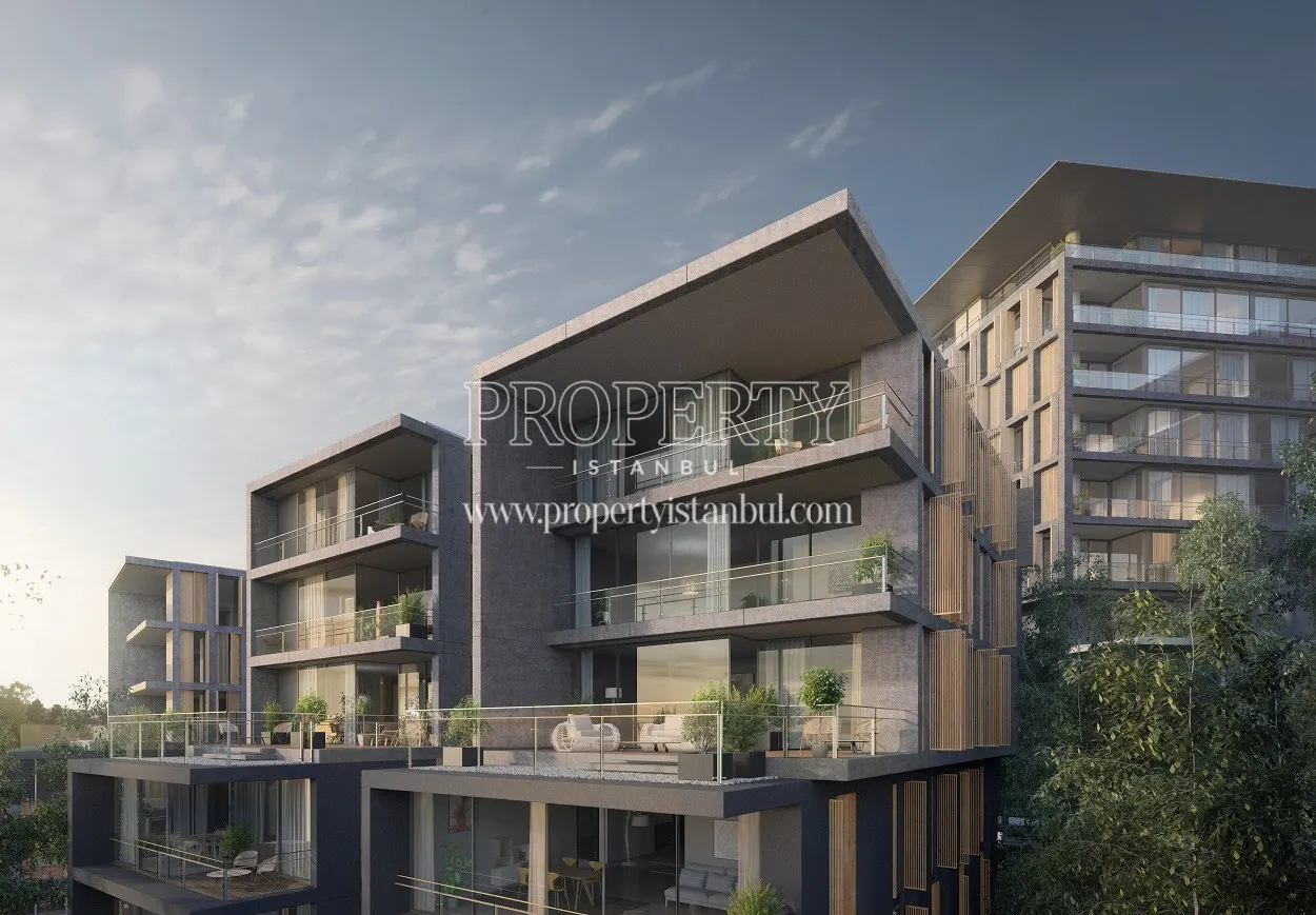 Nef Kandilli project