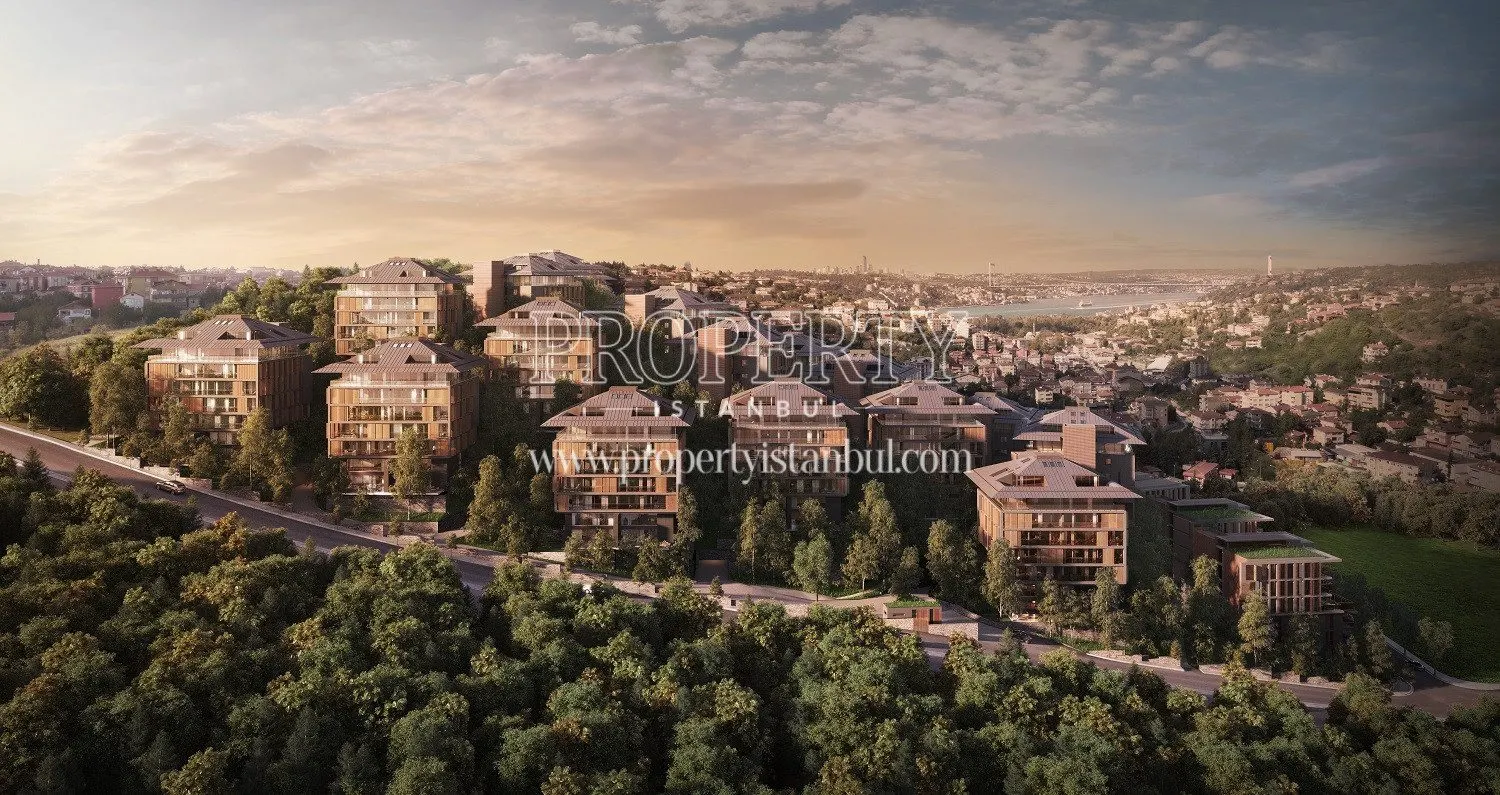 Nef Kandilli project