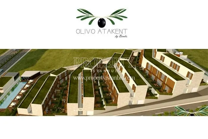 Olivo Atakent project