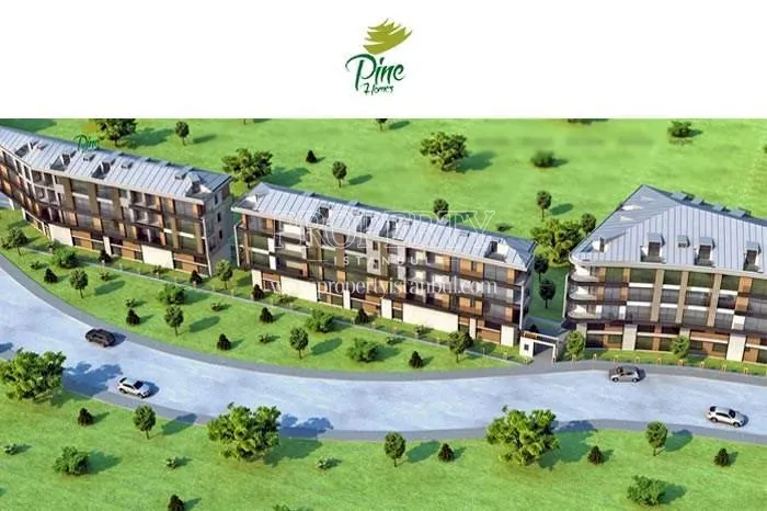 Pine Homes project