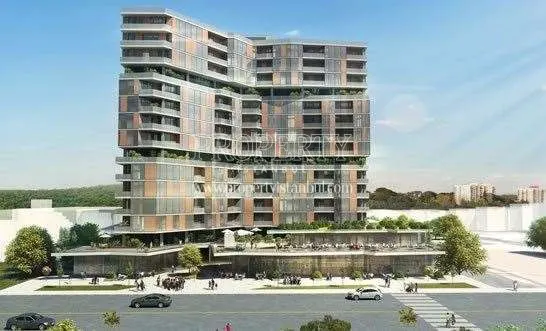 Terrace Su project