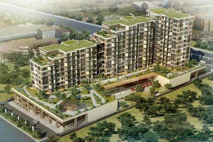 Ve Gunesli project