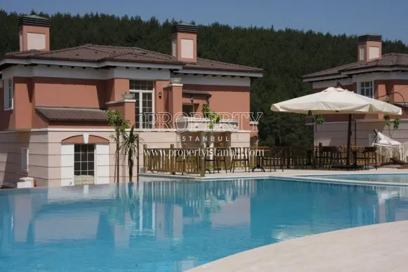 Luxury villa and big swimming pool in Ardenia Park Evleri