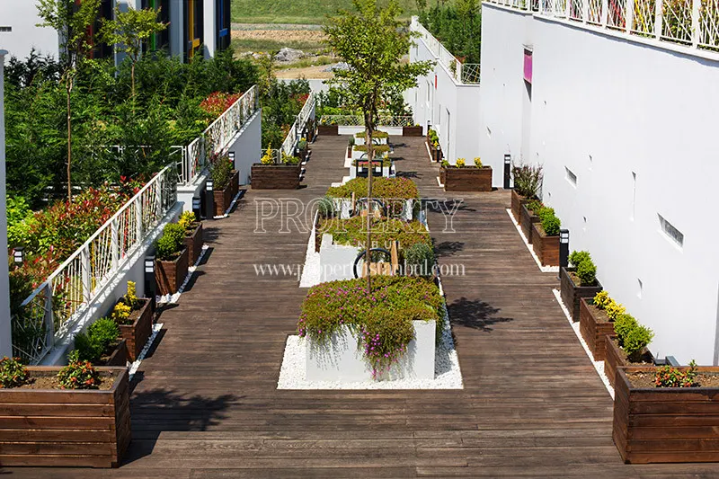 The garden of Arterium Villas