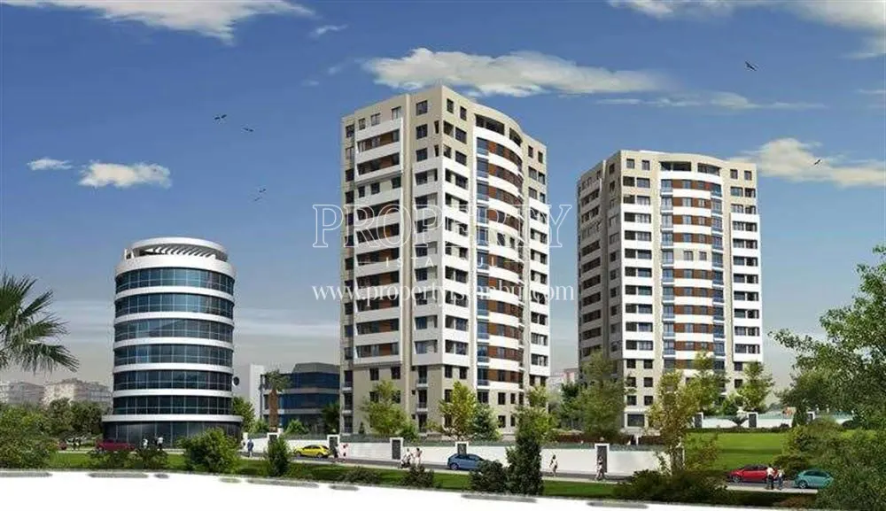 Danis Park project