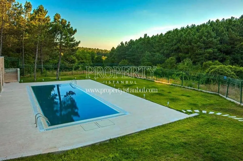 Essa Silva Villalari swimming pool