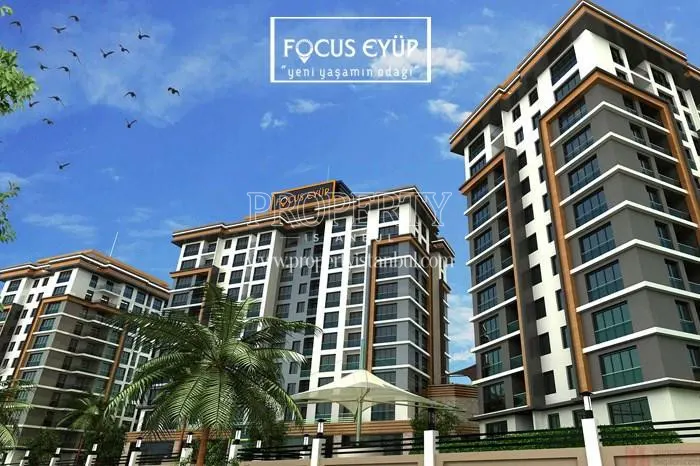 Focus Eyup compound