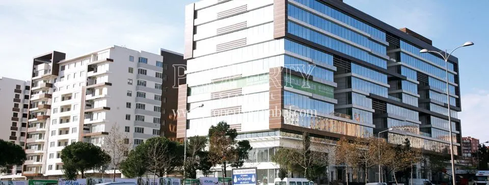 Ginza Lavinya Park blocks