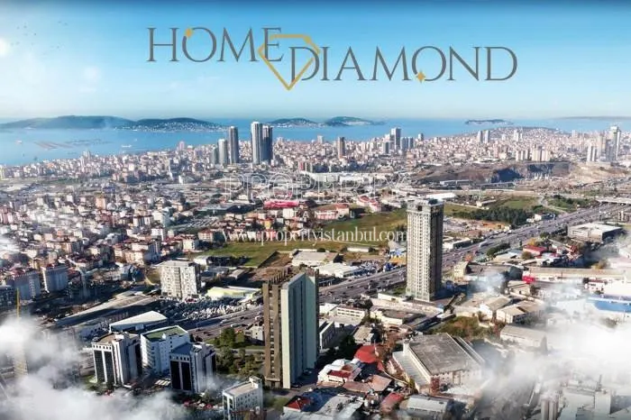 Home Diamond project
