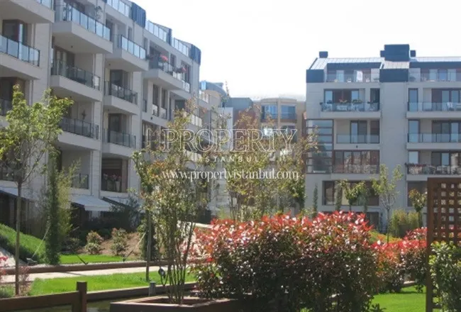 The garden of Istanbul Zen
