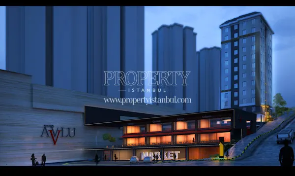 Maltepe Avlu project