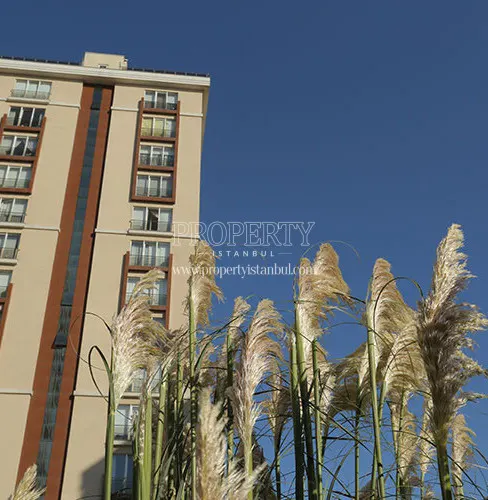 Mimoza Uptown building