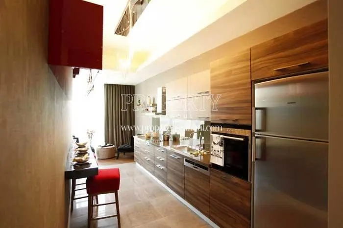 A kitchen in Pega Kartal