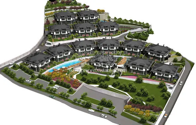 The project of Seba Vista