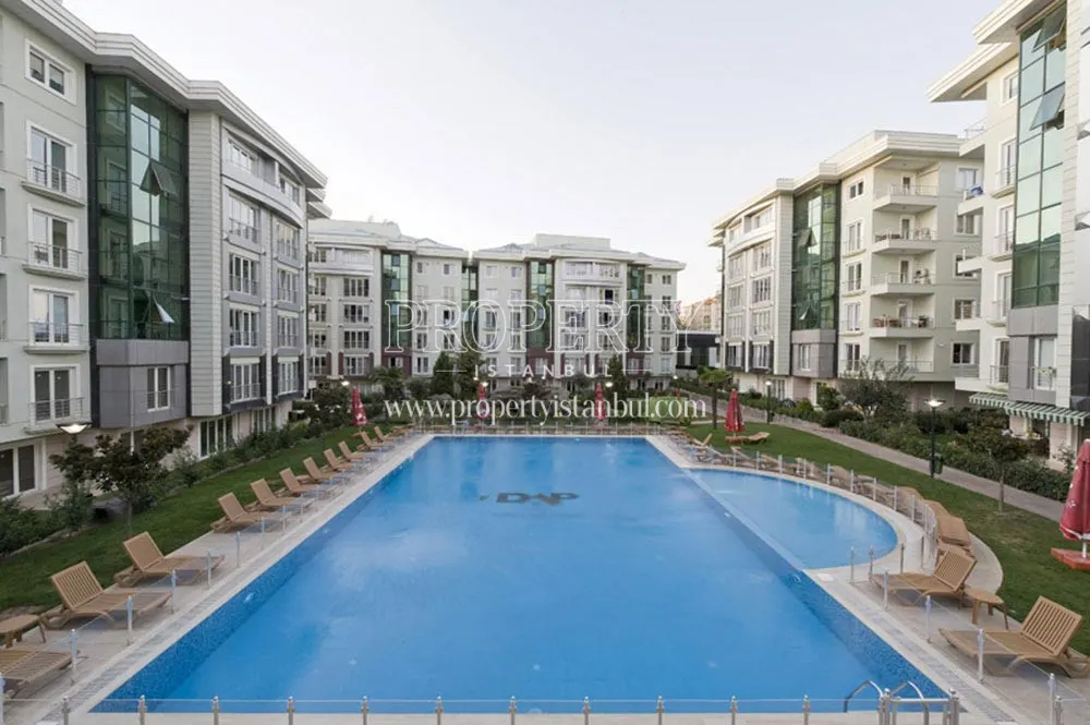 Selale Premium compound