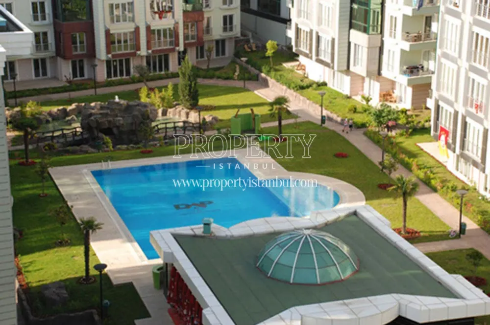 Selale Premium compound