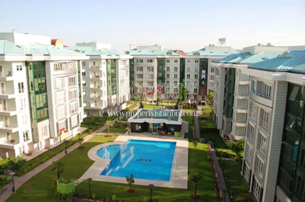 Selale Premium compound