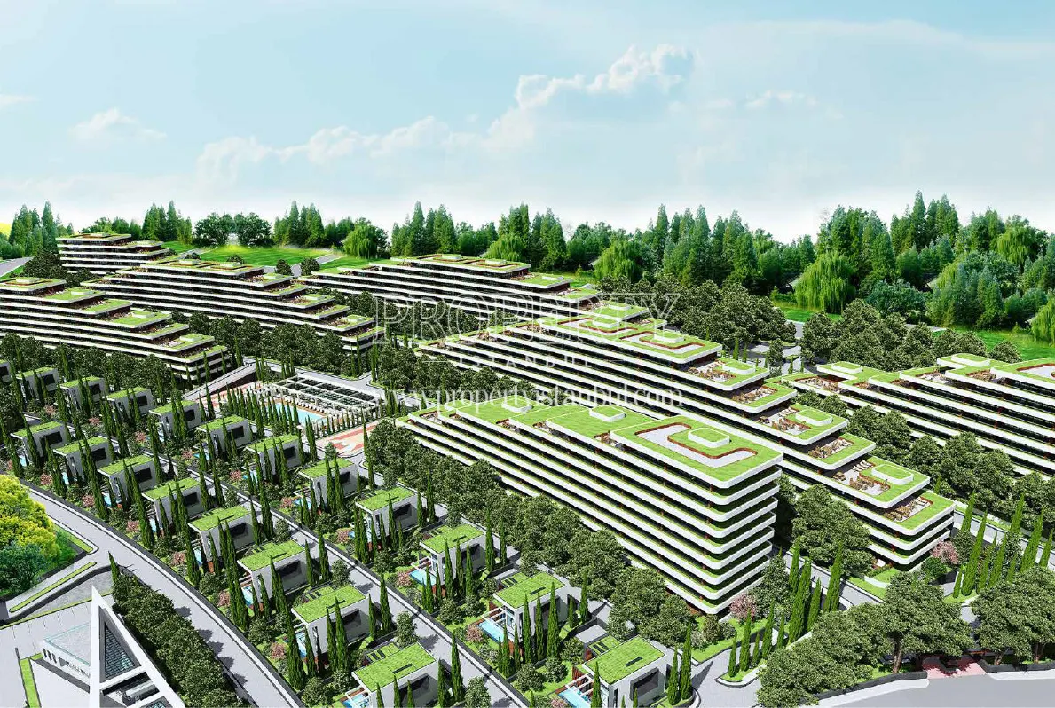 Zertuzlamarina project