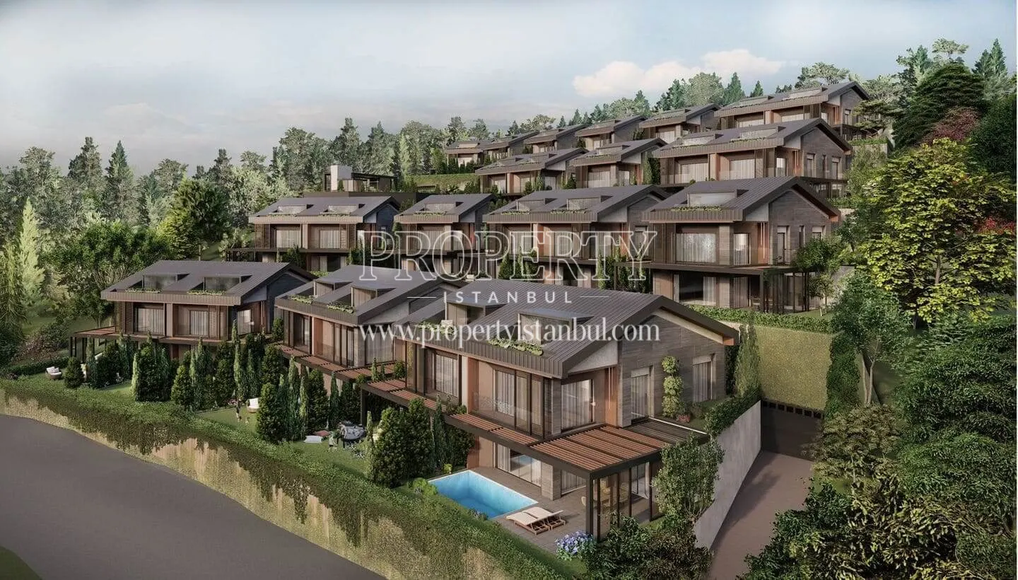 Drone view of a villa in Flamingo Zekeriyakoy