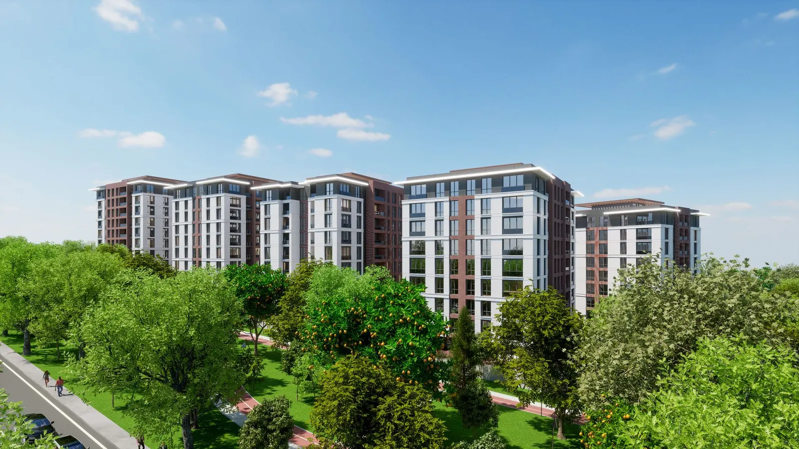 Marmara Koru blocks above the grove
