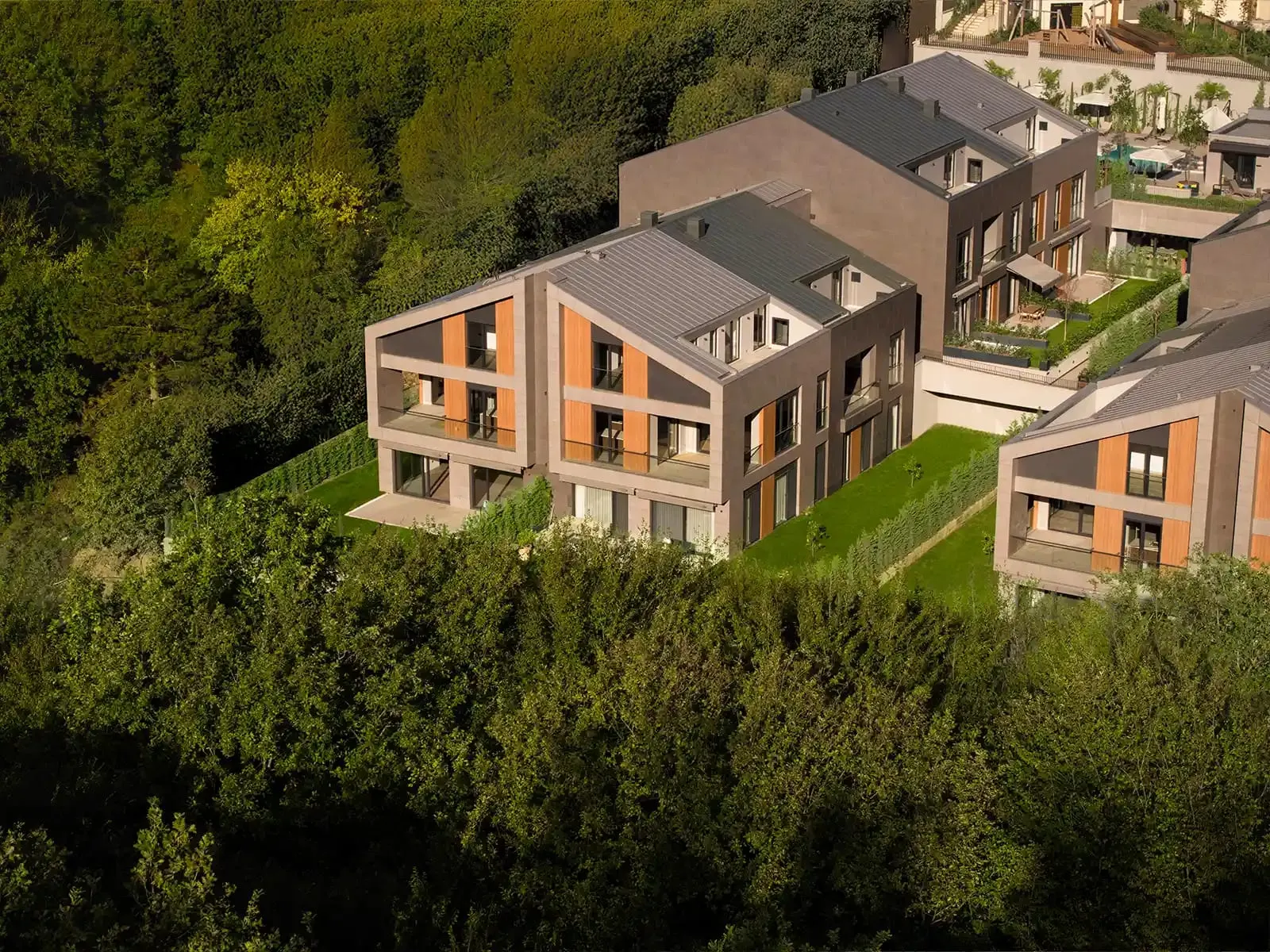 Naturalist Verde block from above, with the forest behind